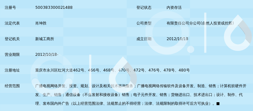 重庆网络信息咨询
